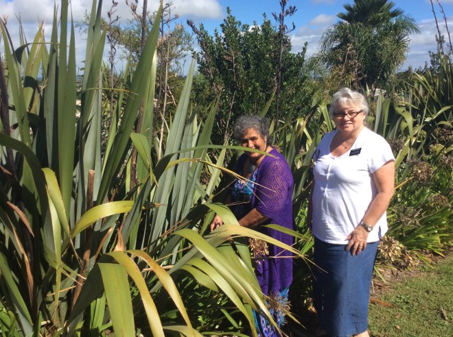 B7A56336-4756-41B0-AE99-BCA071A387DC